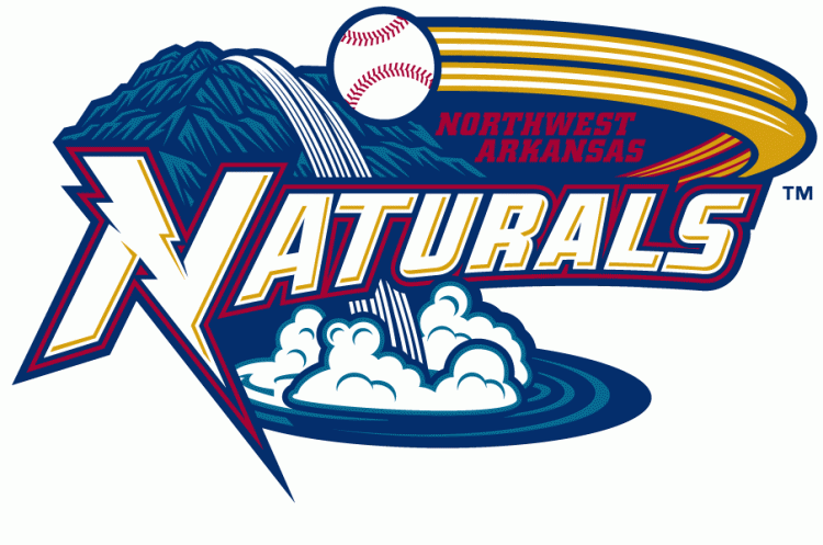 Northwest Arkansas Naturals 2008-Pres Primary Logo iron on transfers for clothing